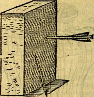 An illustration from Symbola heroica (1583)