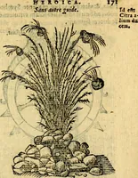 Picture 106 of 213 from Symbola heroica (1583), leaf 174