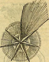 Picture 110 of 213 from Symbola heroica (1583), leaf 178