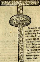 An illustration from Symbola heroica (1583)
