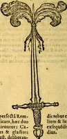 An illustration from Symbola heroica (1583)