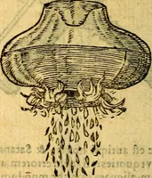 Picture 122 of 213 from Symbola heroica (1583), leaf 195