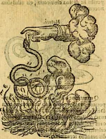 An illustration from Symbola heroica (1583)