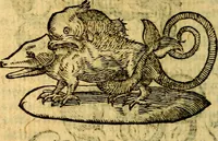 Picture 128 of 213 from Symbola heroica (1583), leaf 203