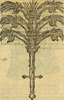 An illustration from Symbola heroica (1583)