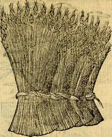 An illustration from Symbola heroica (1583)