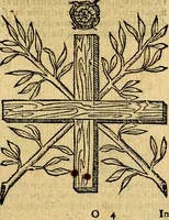 Picture 138 of 213 from Symbola heroica (1583), leaf 218