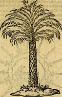 Picture 139 of 213 from Symbola heroica (1583), leaf 220