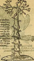 Picture 142 of 213 from Symbola heroica (1583), leaf 224