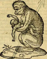 An illustration from Symbola heroica (1583)