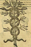 An illustration from Symbola heroica (1583)