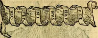 Picture 163 of 213 from Symbola heroica (1583), leaf 256