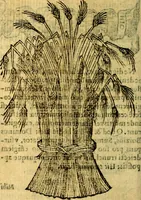 An illustration from Symbola heroica (1583)