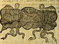 An illustration from Symbola heroica (1583)