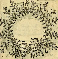 An illustration from Symbola heroica (1583)