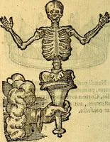 An illustration from Symbola heroica (1583)