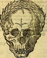 Picture 174 of 213 from Symbola heroica (1583), leaf 271