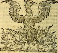 Picture 197 of 213 from Symbola heroica (1583), leaf 299