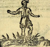An illustration from Symbola heroica (1583)