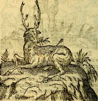 An illustration from Symbola heroica (1583)