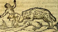 An illustration from Symbola heroica (1583)