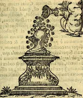 An illustration from Symbola heroica (1583)
