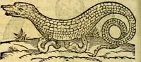 An illustration from Symbola heroica (1583)