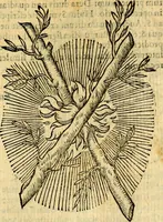 An illustration from Symbola heroica (1583)