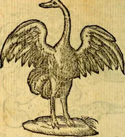 An illustration from Symbola heroica (1583)