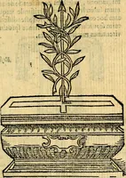 Picture 27 of 213 from Symbola heroica (1583), leaf 58