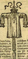 An illustration from Symbola heroica (1583)
