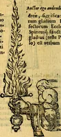 Picture 29 of 213 from Symbola heroica (1583), leaf 61