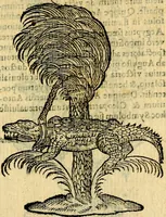An illustration from Symbola heroica (1583)