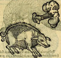 An illustration from Symbola heroica (1583)