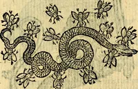 Picture 50 of 213 from Symbola heroica (1583), leaf 90