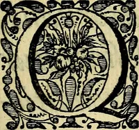 Picture 3 of 308 from Symbola heroica (1682), leaf 10