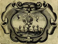 An illustration from Symbola heroica (1682)