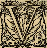 An illustration from Symbola heroica (1682)
