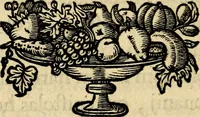 Picture 105 of 308 from Symbola heroica (1682), leaf 247