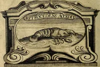 An illustration from Symbola heroica (1682)