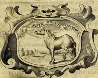Picture 238 of 308 from Symbola heroica (1682), leaf 464