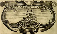 Picture 249 of 308 from Symbola heroica (1682), leaf 485