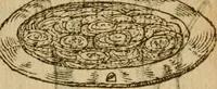 An illustration from Symbola heroica m. Clavdii Paradini, Belliiocensis canonici, et d. Gabrielis Symeonis : multo, quàm antea, fidelius de gallica lingua in latinam conuersa (1600)