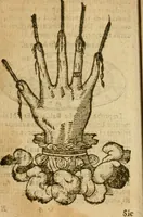 An illustration from Symbola heroica m. Clavdii Paradini, Belliiocensis canonici, et d. Gabrielis Symeonis : multo, quàm antea, fidelius de gallica lingua in latinam conuersa (1600)