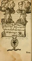 Picture 65 of 210 from Symbola heroica m. Clavdii Paradini, Belliiocensis canonici, et d. Gabrielis Symeonis : multo, quàm antea, fidelius de gallica lingua in latinam conuersa (1600), leaf 109