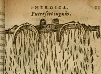 Picture 71 of 210 from Symbola heroica m. Clavdii Paradini, Belliiocensis canonici, et d. Gabrielis Symeonis : multo, quàm antea, fidelius de gallica lingua in latinam conuersa (1600), leaf 120