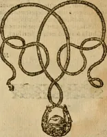 An illustration from Symbola heroica m. Clavdii Paradini, Belliiocensis canonici, et d. Gabrielis Symeonis : multo, quàm antea, fidelius de gallica lingua in latinam conuersa (1600)