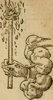 An illustration from Symbola heroica m. Clavdii Paradini, Belliiocensis canonici, et d. Gabrielis Symeonis : multo, quàm antea, fidelius de gallica lingua in latinam conuersa (1600)