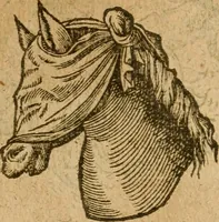 An illustration from Symbola heroica m. Clavdii Paradini, Belliiocensis canonici, et d. Gabrielis Symeonis : multo, quàm antea, fidelius de gallica lingua in latinam conuersa (1600)
