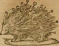 An illustration from Symbola heroica m. Clavdii Paradini, Belliiocensis canonici, et d. Gabrielis Symeonis : multo, quàm antea, fidelius de gallica lingua in latinam conuersa (1600)